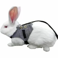 HEGUYEY Harnais Rongeur Avec Bouton Réglable Leash Style Costume Formel Pour Chaton Lapin Petit Animal Marche -Equipement antichute Soldes 63690407 5