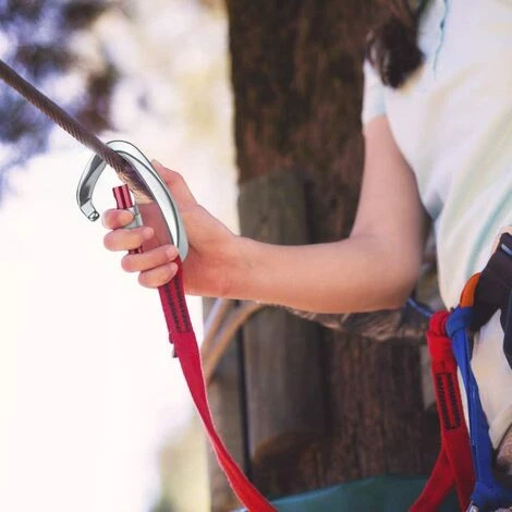 OSQI Mousquetons D'escalade, 2 Mousquetons Autobloquants En Aluminium En Acier Inoxydable Avec Anneau En D Pour L'escalade Et La Descente En Rappel, Chiens De Verrouillage, Balançoire Hamac, Tente, Grande Taille, Gris 7 OSQI Mousquetons D'escalade, 2 Mousquetons Autobloquants En Aluminium En Acier Inoxydable Avec Anneau En D Pour L'escalade Et La Descente En Rappel, Chiens De Verrouillage, Balançoire Hamac, Tente, Grande Taille, Gris – Image 5