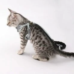 ENLENK Ensemble Harnais Et Laisse Pour Chat Anti-évasion, Bande De Gilet Réglable Pour Chatons Doux, Harnais De Gilet En Maille Respirante -Equipement antichute Soldes 67581880 5