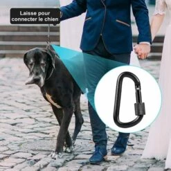 OYLDA 10 Pièces Mousqueton Verrouillable Boucle De Porte En Aluminium à Ressort En Forme De D -Equipement antichute Soldes 68137825 5