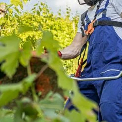 FUIENKO Sangle D'épaule De Tondeuse De Jardin, Durable, Réglable, Facile à Installer, Harnais Pour Débroussailleuse, Tondeuse à Gazon, Tronçonneuse -Equipement antichute Soldes 68724944 5