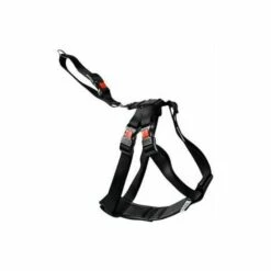 FLAMINGO Harnais De Securitã Voiture Duma XL Noir 60-100cm