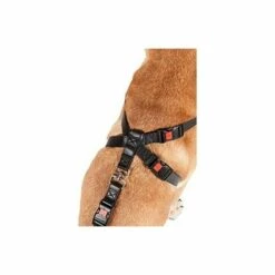 FLAMINGO Harnais De Securitã‰ Voiture Duma XL Noir 60-100cm -Equipement antichute Soldes 6989668 3